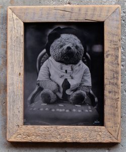 tintype photo of a stuffed Padington bear