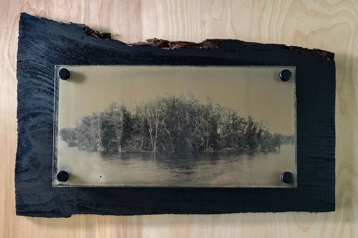 James Island Ambrotype