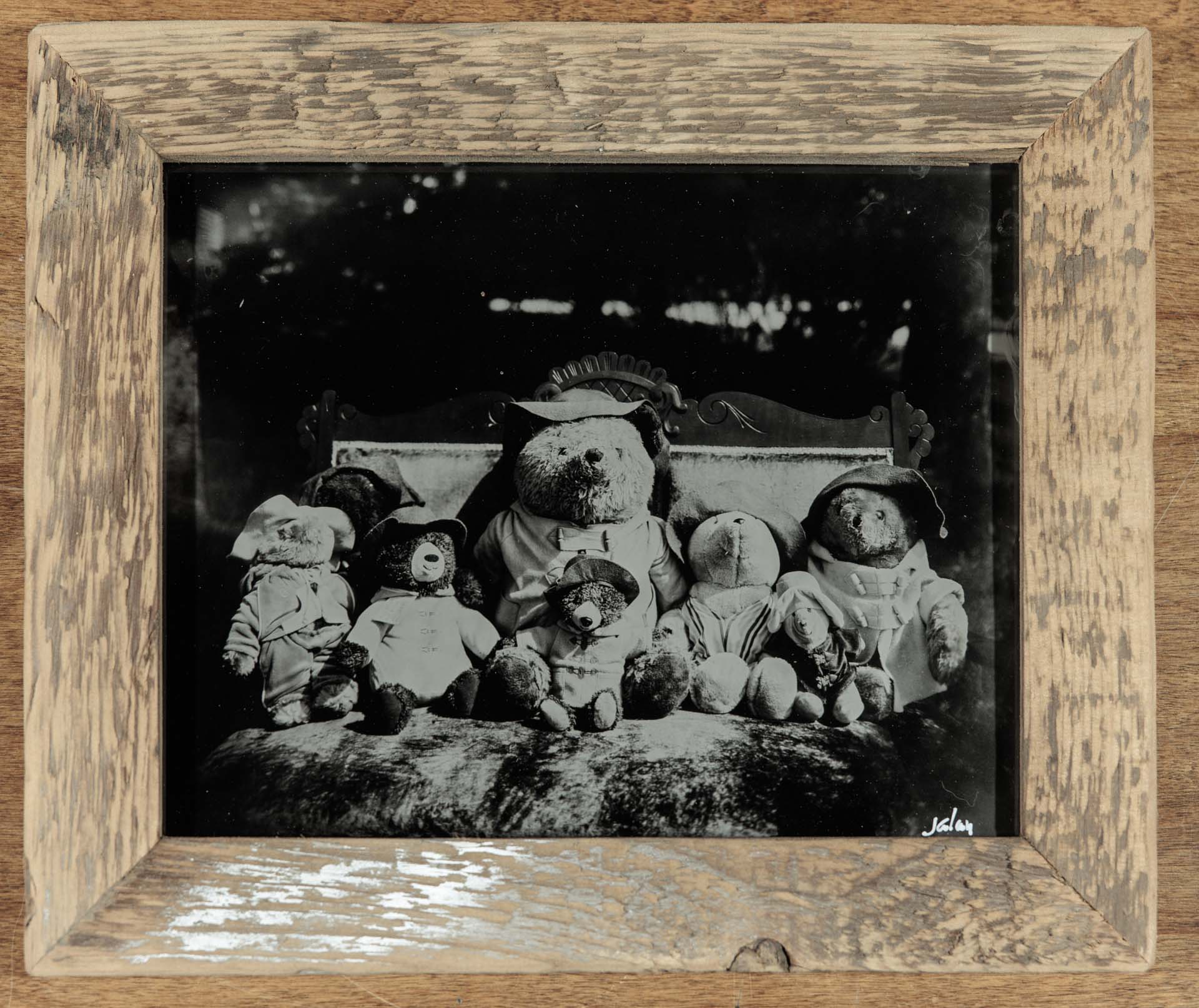 Bear Family - Tintype